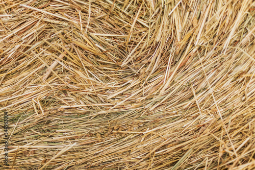 Texture of dry hay forage for livestock