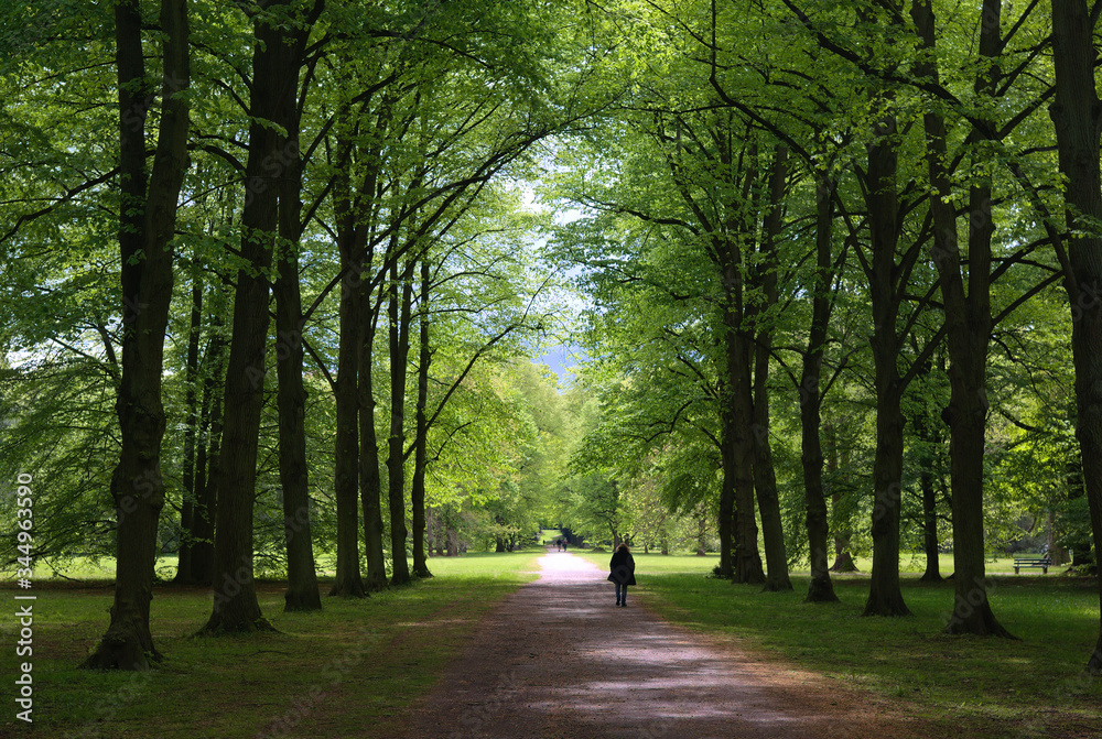 weg im park karlsaue in kassel weg im park karlsaue in kassel