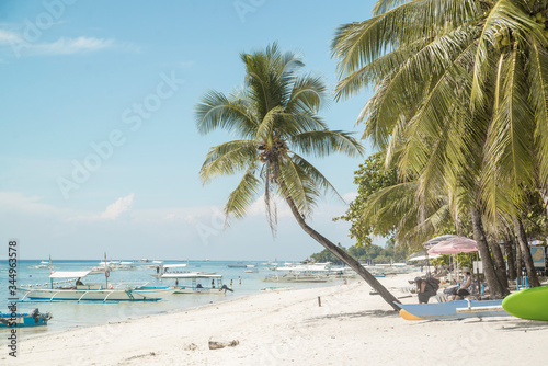 palm tree extending over a relaxing beach in the philippines