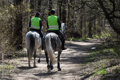 Mounted police on beautiful white horses patrol the park
