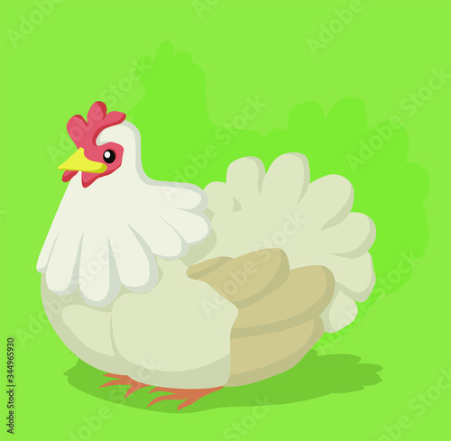 Chicken Poultry Cartoon
