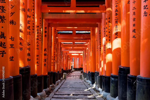 Walkway under orange wooden pillars, Kyoto, Japan