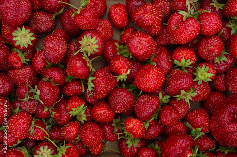 Freshly picked strawberries Freshly picked strawberries