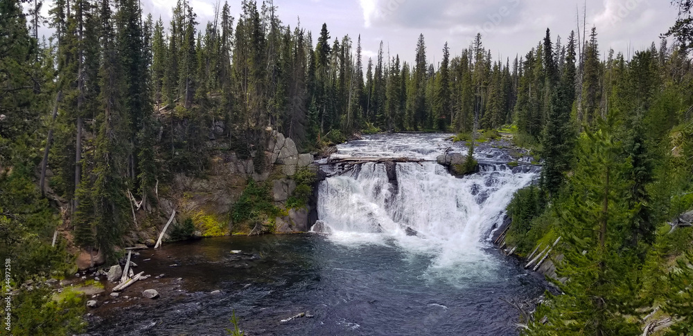 Waterfall in a Forest Waterfall in a Forest