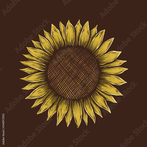 Hand drawing vintage sunflower vector illustration