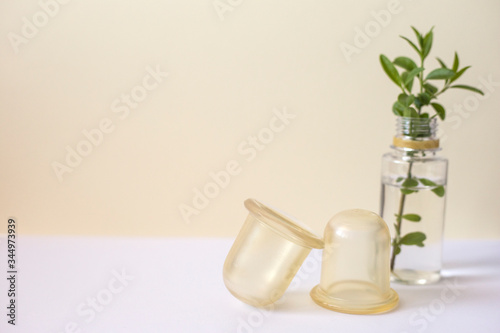 Vacuum silicone massage jars next to branch of green plant. Anti-cellulite and lymphatic body massager