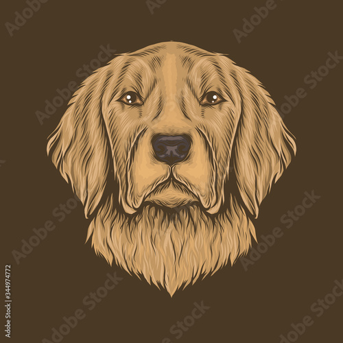 Hand drawing vintage golden retriever head vector illustration