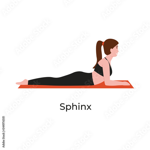 Young beautiful woman practicing yoga in salamba bhujangasana or sphinx pose. Flat vector cartoon modern style illustration isolated white background.