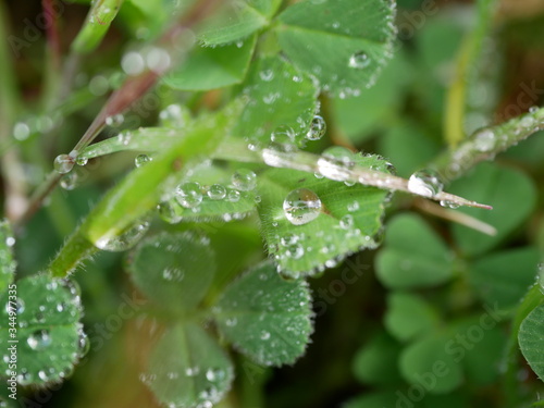 Obraz na płótnie Gotas w salonie