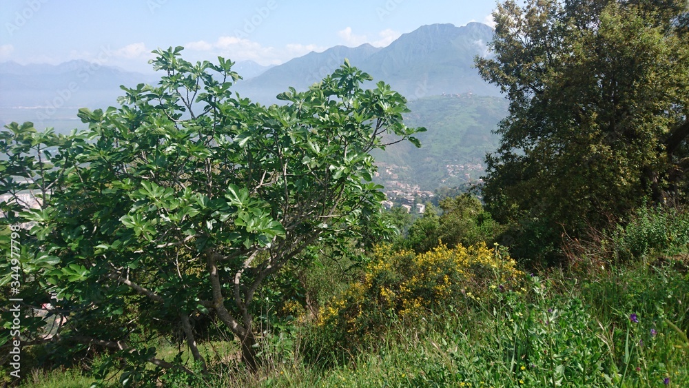 Obraz premium Paysage d'aokas bejaia,Algérie