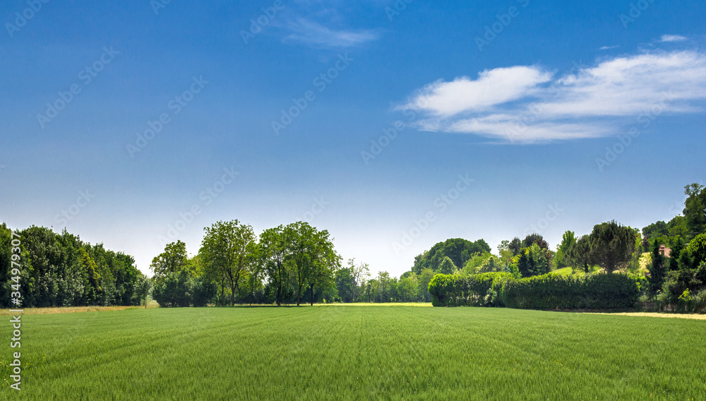 Countryside landscape