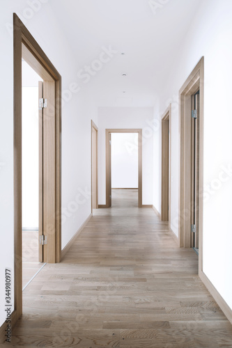 Сorridor with doors at the modern flat
