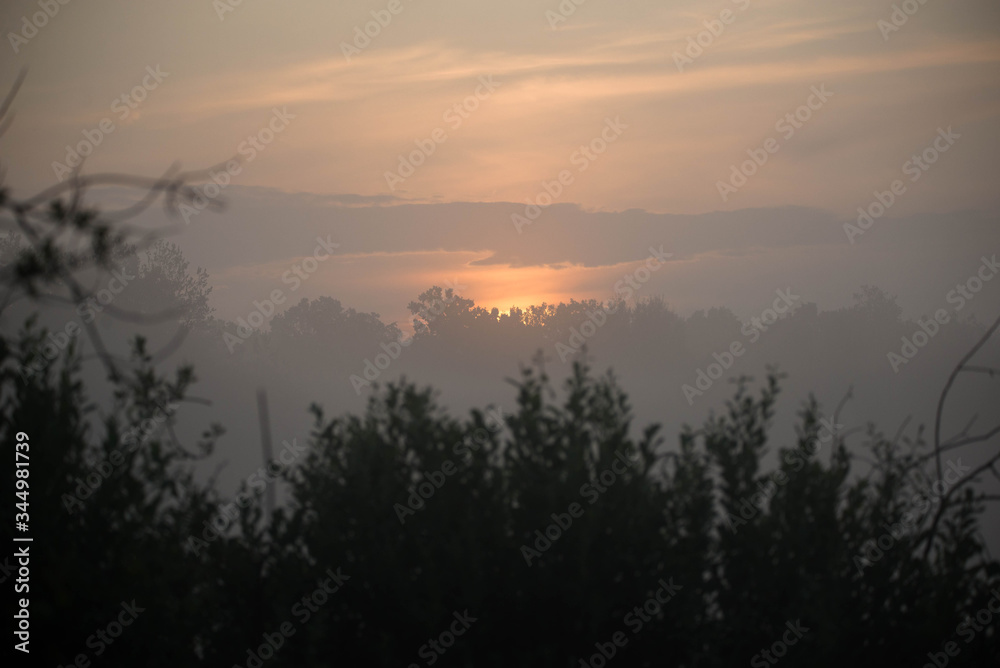 Naklejka premium Wschód słońca na skraju lasu