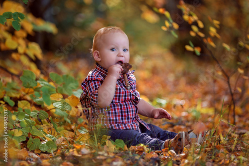 little boy playing in autumn park