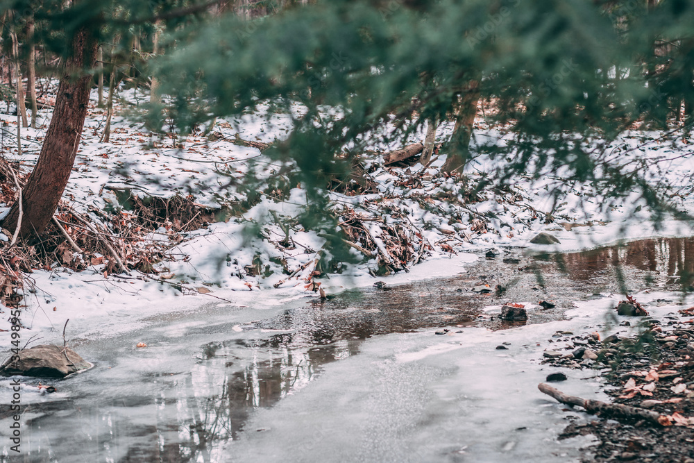Stream winter Stream winter