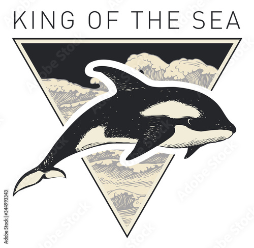 Vector banner on the theme of adventure, travel and discovery with the words King of the sea. Hand-drawn illustration with a big killer whale and a triangle with sea waves in retro style
