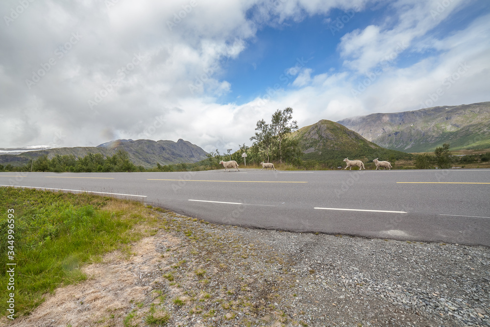 The road leading a mysterious gorge surrounded by clouds of the Norwegian mountains, selective focus The road leading a mysterious gorge surrounded by clouds of the Norwegian mountains, selective focus