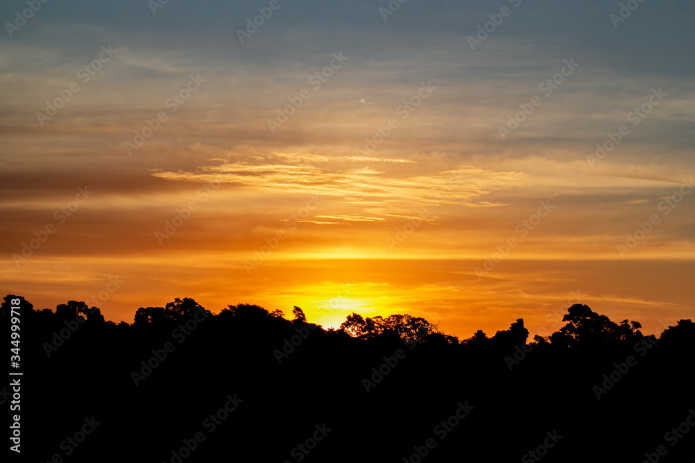 Sunset Trees