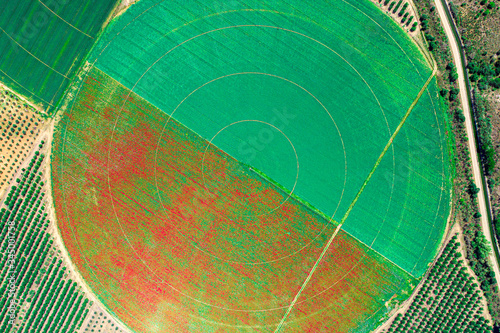 Aerial drone shot of a Pivot irrigation land a perfect green circle