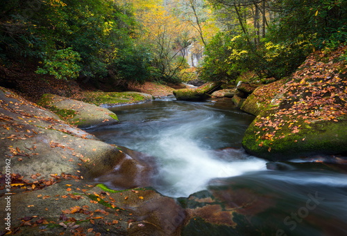 Fototapeta Naklejka Na Ścianę i Meble -  Fall foliage surrounding the swirling waters of a beautiful natural outdoors river.  This scenic autumn mountain stream landscape is just off of the Blue Ridge Parkway in Western North Carolina.