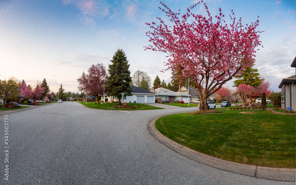 Residential Suburban Neighborhood in the City during a vibrant springtime sunset. Taken in Fraser Heights, Surrey, Vancouver, BC, Canada. Panorama, Wide Angle Residential Suburban Neighborhood in the City during a vibrant springtime sunset. Taken in Fraser Heights, Surrey, Vancouver, BC, Canada. Panorama, Wide Angle