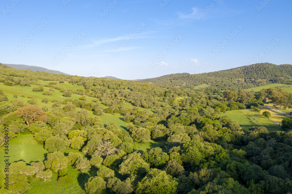 Green mountains with full of trees in spain 