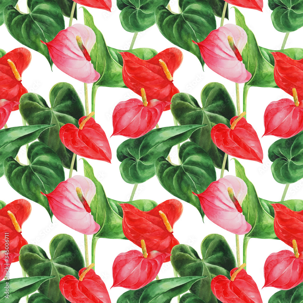 Seamless pattern with anthurium on an isolated white background, watercolor jungle, botanical drawing.
