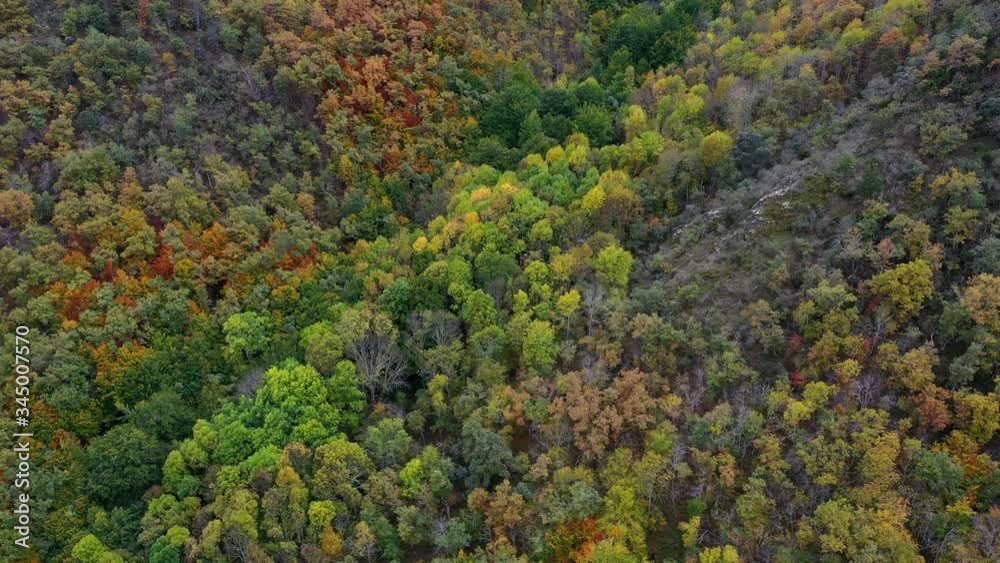 Aerial view of deciduous forest in autumn at the Monastery of Valvanera, La Rioja, Spain, Europe Aerial view of deciduous forest in autumn at the Monastery of Valvanera, La Rioja, Spain, Europe