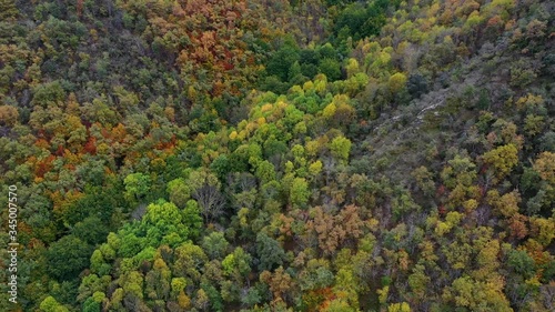 Aerial view of deciduous forest in autumn at the Monastery of Valvanera, La Rioja, Spain, Europe photo