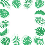 Summer vector background with tropical leaves and plants branches. Exotic background. Flat style vector illustration 