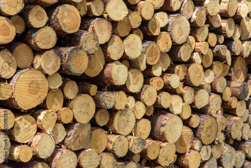 Stack of wooden logs as a background