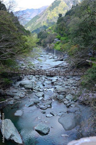 Japan's Shikoku region Is a bridge made of wood in Tokushima Prefecture Iya no Kazura Bridge tourist attraction 