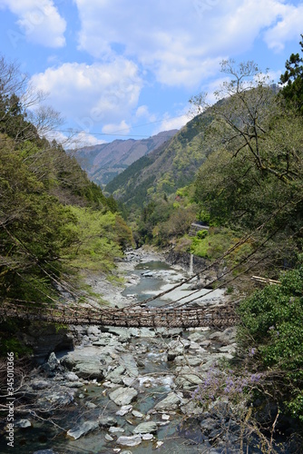 Japan's Shikoku region Is a bridge made of wood in Tokushima Prefecture Iya no Kazura Bridge tourist attraction
 photo