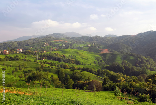 TRABZON, TURKEY -  JUNE 28, 2008: Of county, Villages and Tea plantations