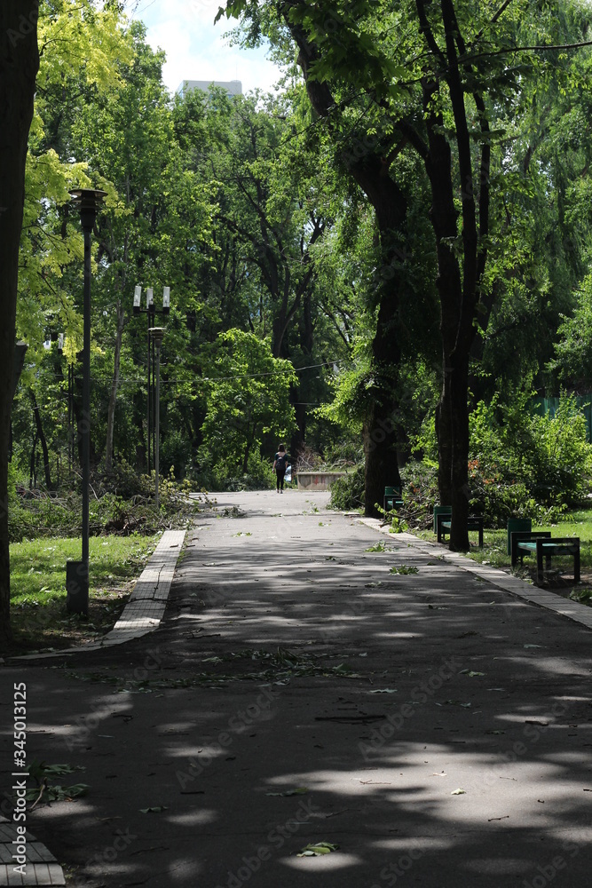 Sunny day in a Park