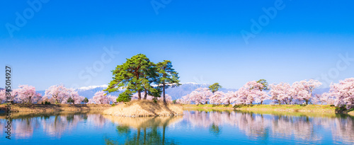 春イメージ　信州の桜風景
