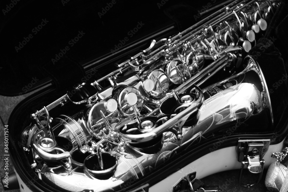 Obraz premium サックス