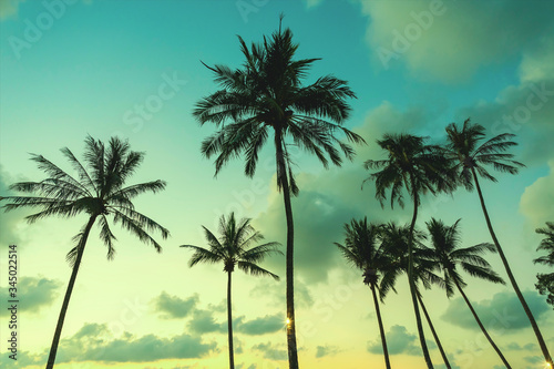 The landscape of the evening scenery of coconut trees by the beach Koh Kood, Thailand In a romantic and happy atmosphere, vintage green tone images.