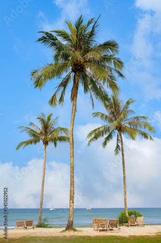 Coconut trees by the beach with beautiful skies and clouds With beach chairs to sit and relax The sea is turquoise green and the boat floats. Summer holiday concept image.