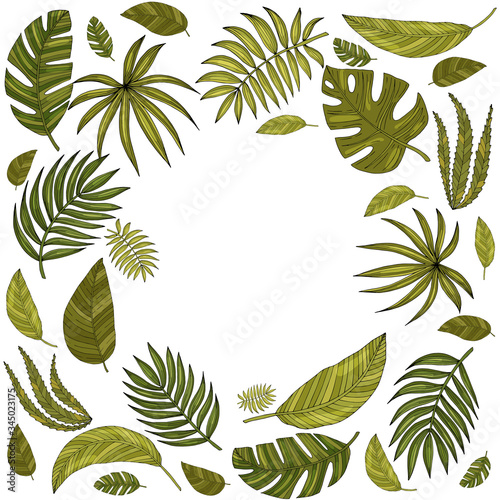 Poster with ornament, frame border, hand drawn tropical or forest leaves with many shades of green, oval or ovoid type. Vector composition Isolated on a white background