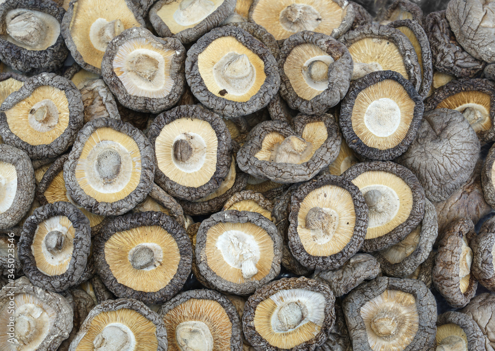 close up on dried shiitake mushroom as food background close up on dried shiitake mushroom as food background