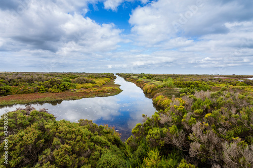 A saltmarsh at South Australia with a high diversity of marsh plants