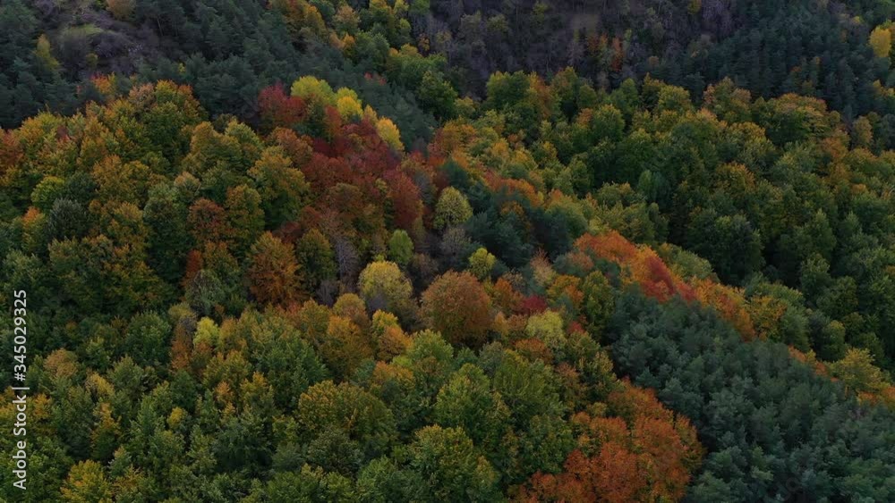 Aerial view of deciduous forest in autumn at the Monastery of Valvanera, La Rioja, Spain, Europe Aerial view of deciduous forest in autumn at the Monastery of Valvanera, La Rioja, Spain, Europe
