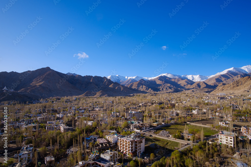 Aerial view of Leh city from Leh Palace