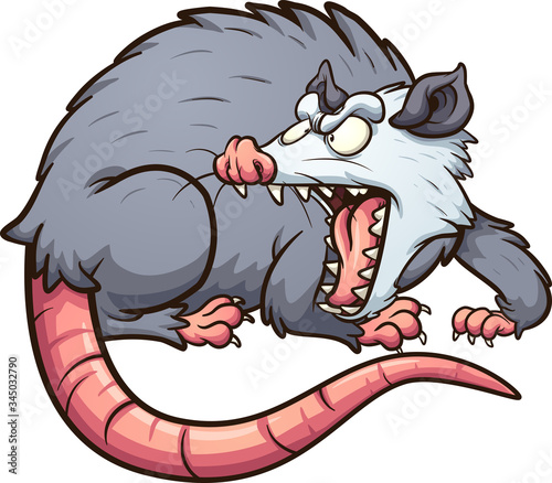 Angry opossum looking back and screaming. Vector cartoon clip art illustration with simple gradients. All on a single layer.
 photo