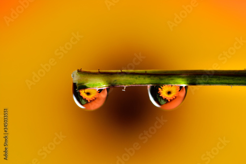 The reflection on the droplets macro photo