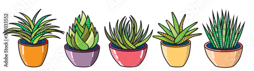 Vector illustration of a set of different succulents and cacti. Big set for background, packaging paper, stickers for children