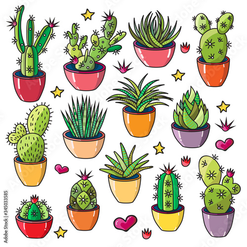 Vector illustration of a set of different succulents and cacti. Big set for background, packaging paper, stickers for children