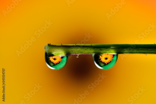Gentle reflection on the water droplets macro photo