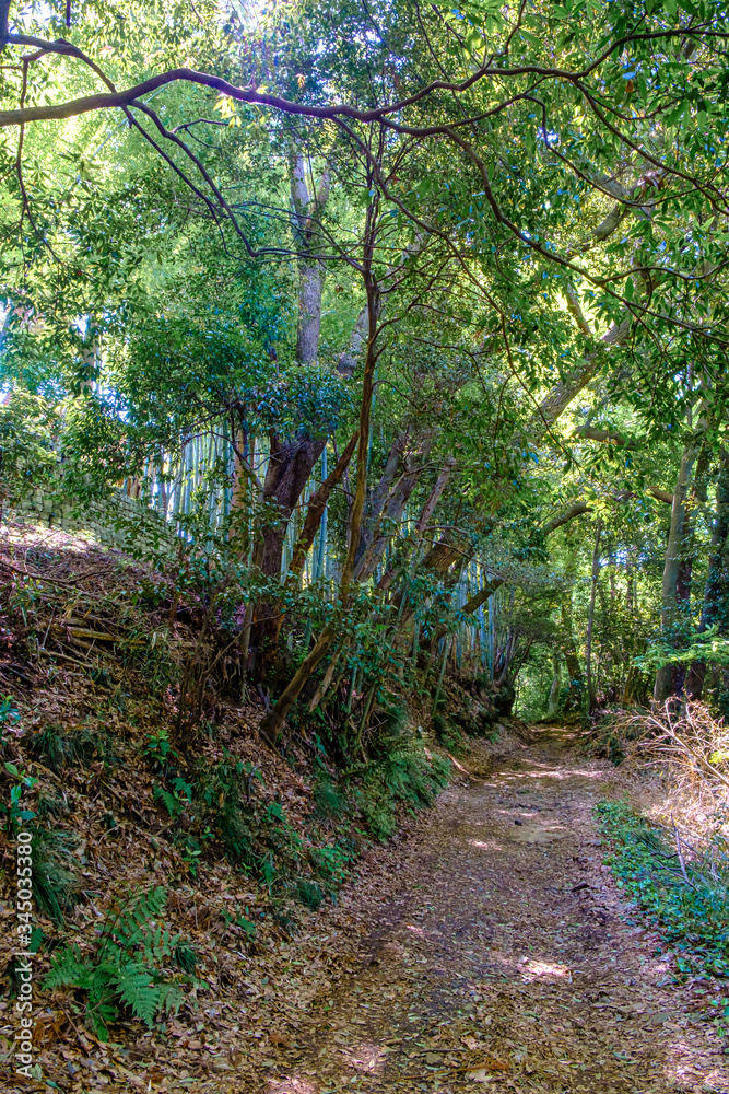 【東京都 町田】都内にある田舎の風景 【東京都 町田】都内にある田舎の風景
